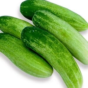 Jual Timun Baby Online Sayuran Segar Cod Jogja Dan Sekitarnya Belanja Sayur Yogyakarta